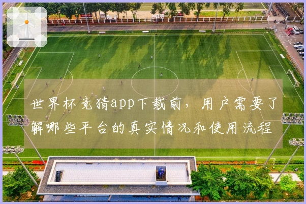 世界杯竞猜app下载前，用户需要了解哪些平台的真实情况和使用流程？