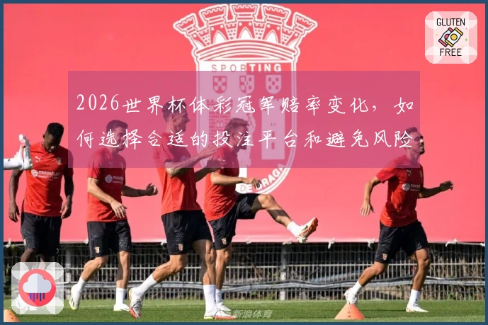 2026世界杯体彩冠军赔率变化，如何选择合适的投注平台和避免风险？