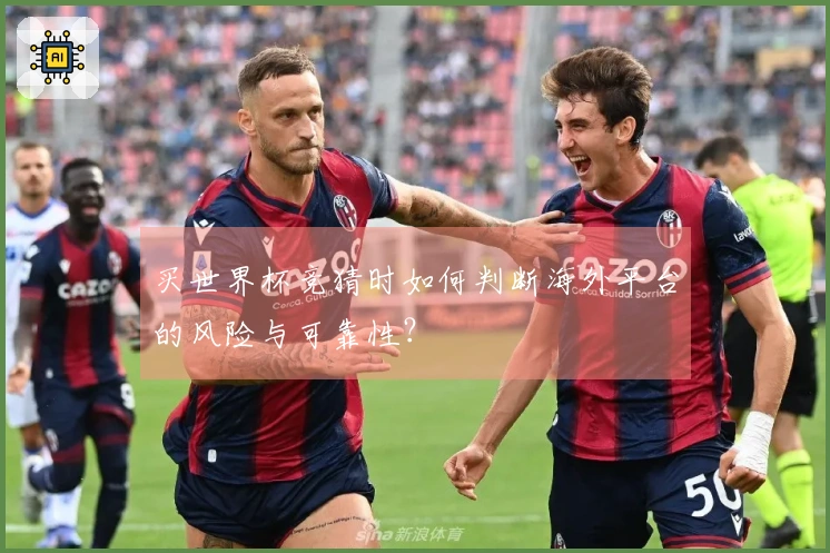 买世界杯竞猜时如何判断海外平台的风险与可靠性？