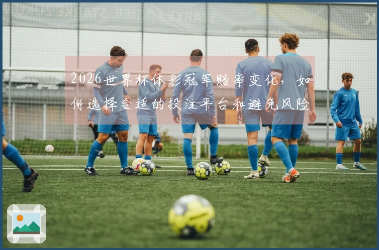 2026世界杯体彩冠军赔率变化，如何选择合适的投注平台和避免风险？