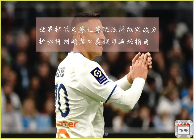 世界杯买足球让球玩法详细实战分析如何判断盘口真假与避坑指南