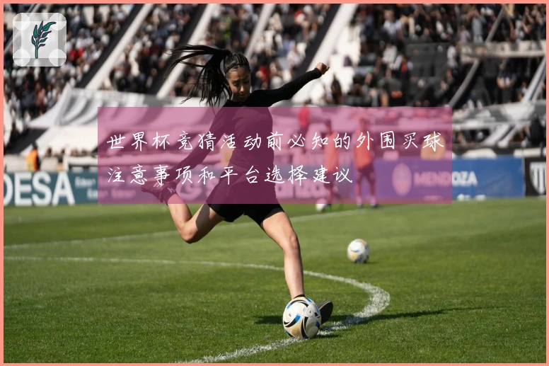 世界杯竞猜活动前必知的外围买球注意事项和平台选择建议