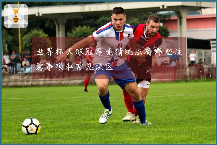 世界杯买球冠军竞猜玩法有哪些注意事项和常见误区