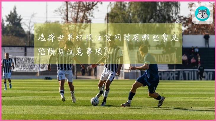 选择世界杯投注官网时有哪些常见陷阱与注意事项？