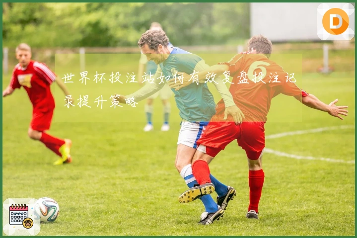 世界杯投注站如何有效复盘投注记录提升策略