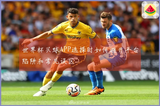 世界杯买球APP选择时如何避开平台陷阱和常见误区